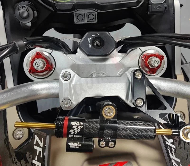 BMW GS Fork Adjuster Caps